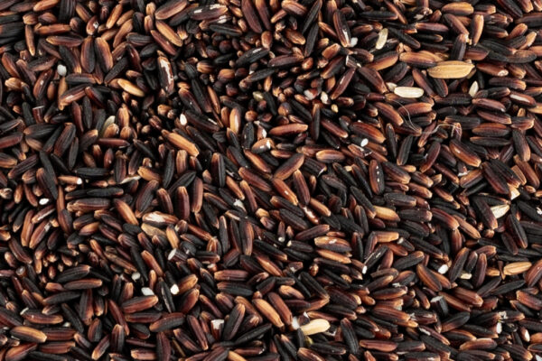 BLACK RICE - Image 2