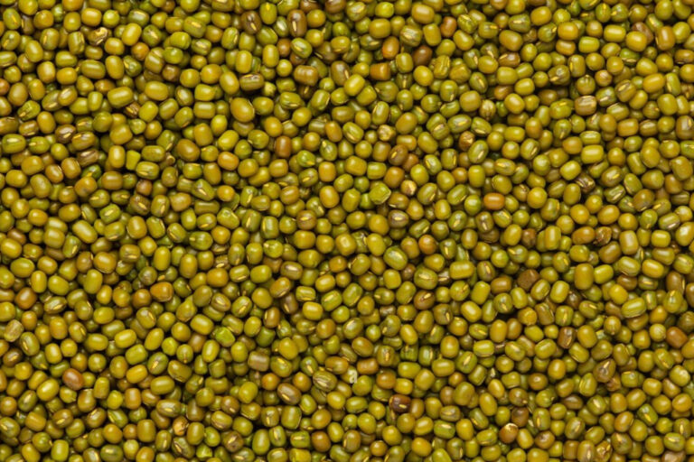 GREEN MOONG DAL - Image 2