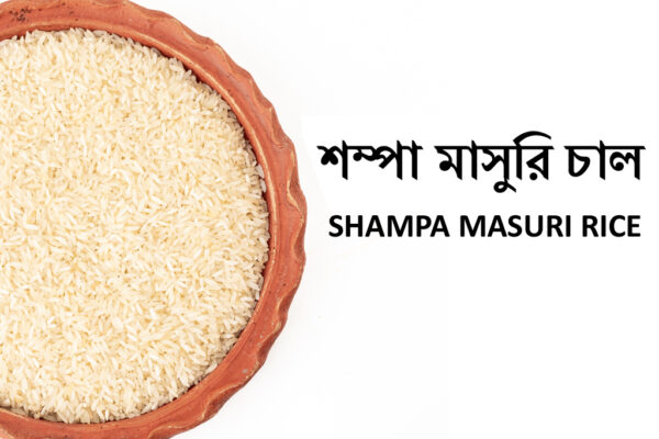 SHAMPA MUSOORI RICE