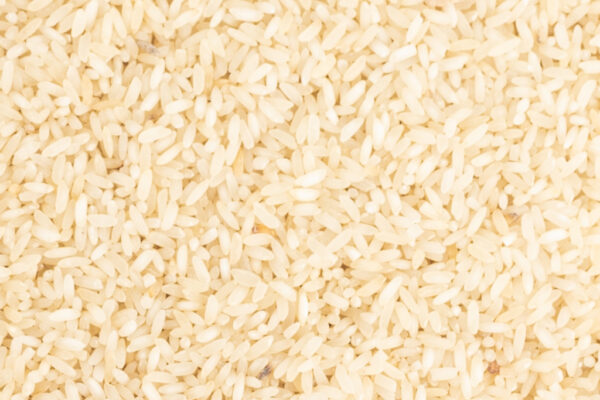 SHAMPA MUSOORI RICE - Image 2