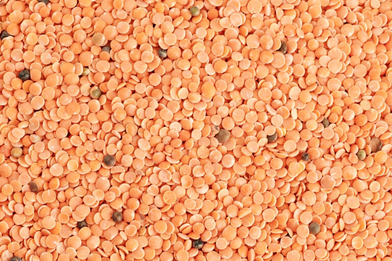 MASOOR DAL - Image 2